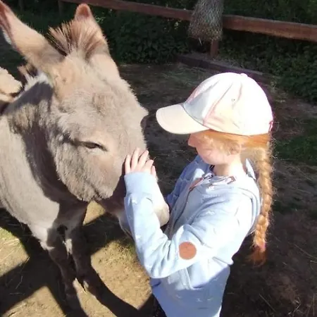Hotel Henriettenhof Weimarer Land, Weimar-bad Berka Bad Berka