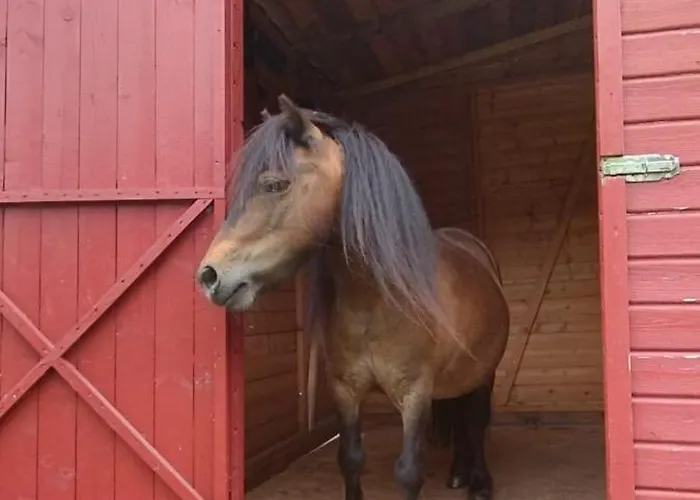 Otel Henriettenhof Weimarer Land, Weimar-bad Berka Bad Berka