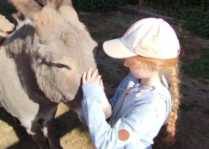 Otel Henriettenhof Weimarer Land, Weimar-bad Berka Bad Berka